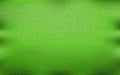 Realistic green leather texture background